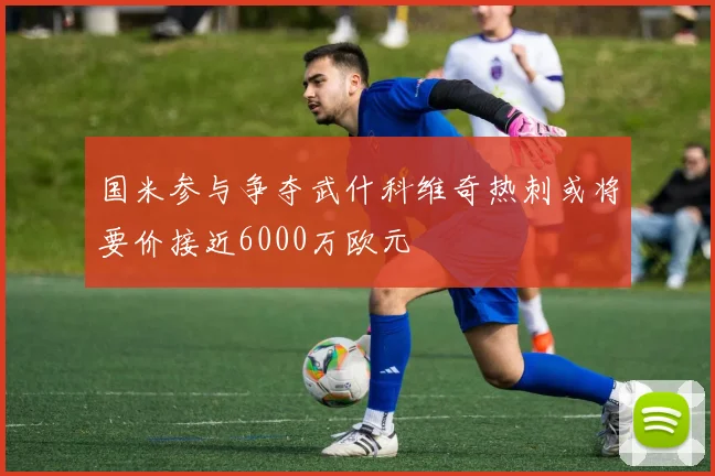 国米参与争夺武什科维奇热刺或将要价接近6000万欧元