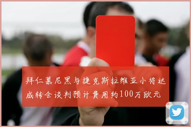 拜仁慕尼黑与捷克斯拉维亚小将达成转会谈判预计费用约100万欧元